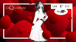 L'Aquarium Club New Edition by Numa