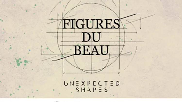 Exposition Figures du beau