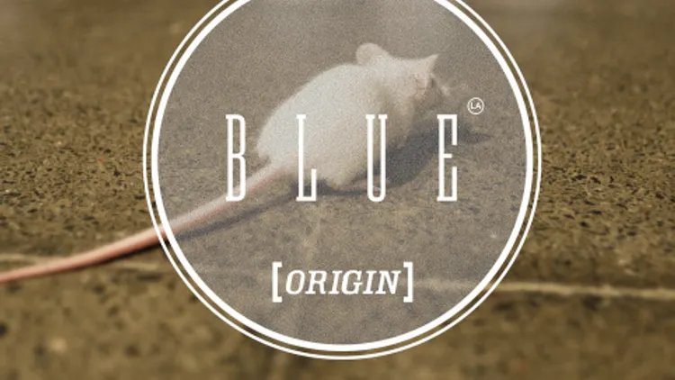 La blue origin