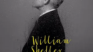 William Sheller en concert