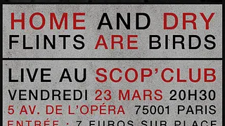 FLINTS ARE BIRDS + HOME & DRY + DJ set