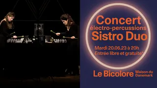Concert Sistro Duo : électro-percussions au Bicolore