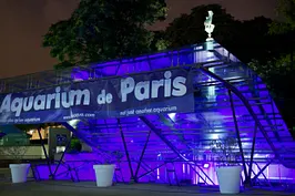 L'Aquarium Club
