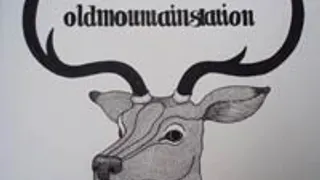 Old Mountain Station + In Bear Suits