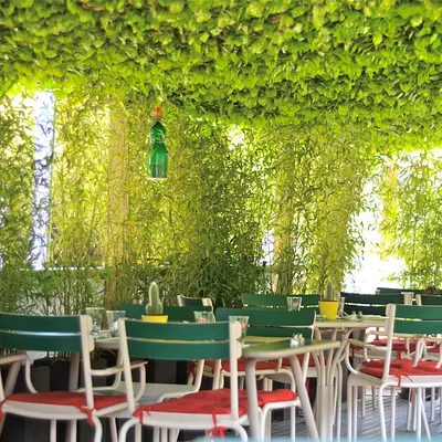 Le Willow, la parenthèse bucolique en plein Paris