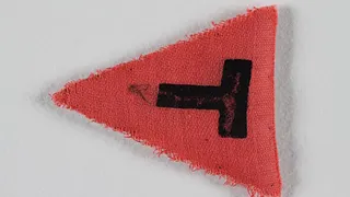 HOMOSEXUELS ET LESBIENNES DANS L'EUROPE NAZIE