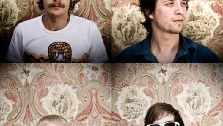 Deer Tick