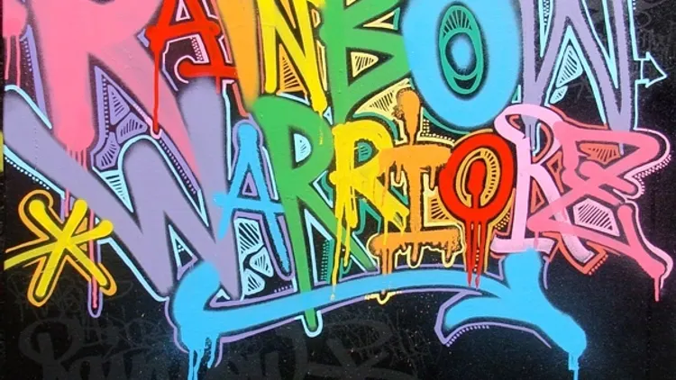 Vision : Rainbow Warrior