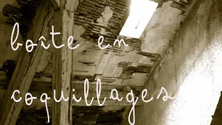 LA BOITE EN COQUILLAGES de Philippe Beheydt