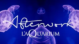 AFTERWORK EXCLUSIF MERCREDI @ TOUT L'AQUARIUM - VEILLE DE JOUR FERIE