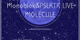 Full Moon W Nina Kraviz, Monoblok&Pslktr Live, Molecule