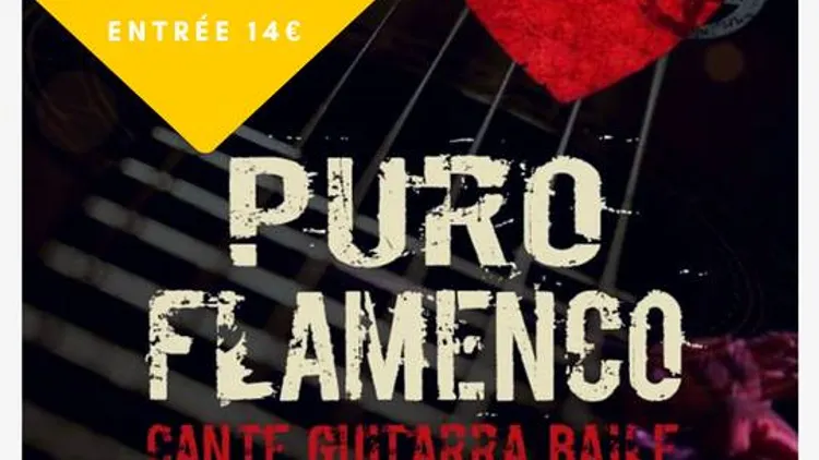 Puro Flamenco + Voleurs de Groove