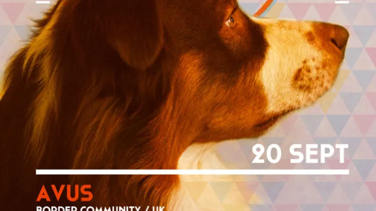 In Dog We Trust 001