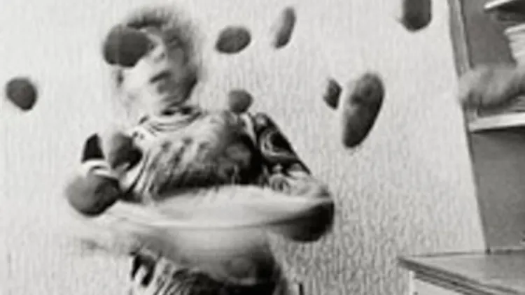 Exposition Anna et Bernhard Blume : La Photographie Transcendantale