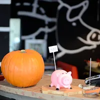 The Pigs