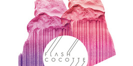 Flash Cocotte