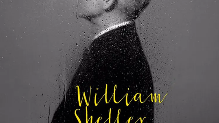 William Sheller en concert