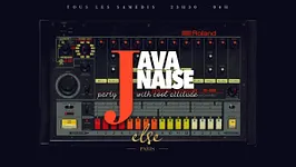 "Javanaise"Party with Cool Attitude