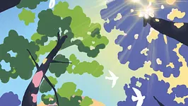 Du 5 au 21 juin 2026, le festival Les Nuits des Forêts revient partout en France