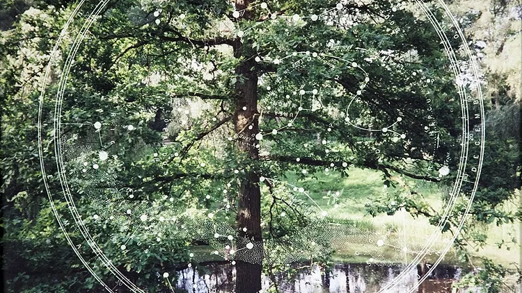 Dianne Bos - The Sleeping Green. Un no man’s land cent ans après