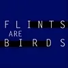 Flints Are Birds F