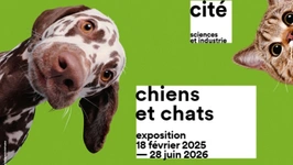 Chiens et chats