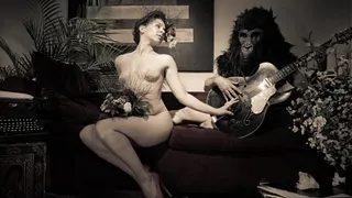 Les Nuits de la Palombe - Burlesque Show