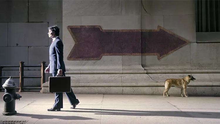 Joel Meyerowitz - Inside | Outside