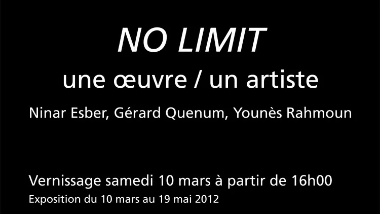 NO LIMIT une œuvre / un artiste
