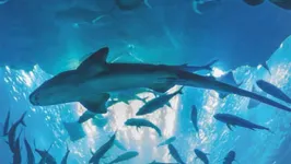 Afterwork @ Aquarium de Paris (NEFS)
