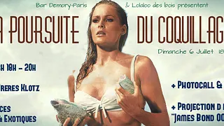 A La poursuite du Coquillage...