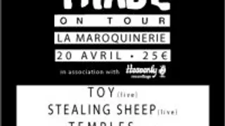 Disquaire Day PArty - Toy + stealing sheep + charlie boyer & the voyeurs