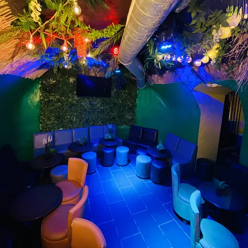 Jungle Zone Club Paris