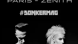 Die Antwoord en concert