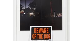 Exposition Valérie Le Guern / Beware Of the Dog