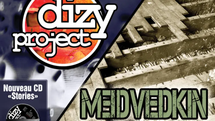 MEDVEDKIN/DIZY PROJECT