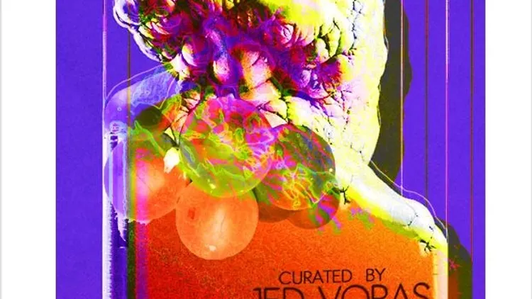 Warhol x Jed Voras