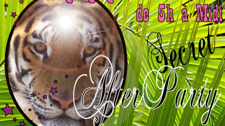 After Tiger, Chut...Secret Party