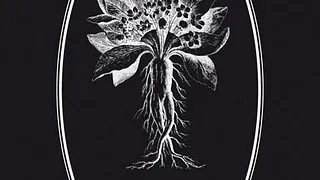 Deadly Nightshade