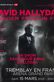 David Hallyday - Requiem pour un fou