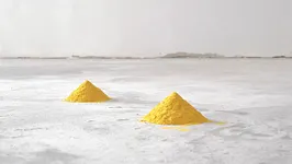 Wolfgang Laib. Une montagne que l’on ne saurait gravir. Pour Monet