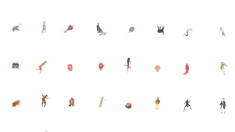 Karine Rougier - Les points de ressemblance