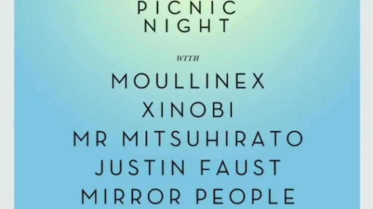 Discotexas Picnic Night