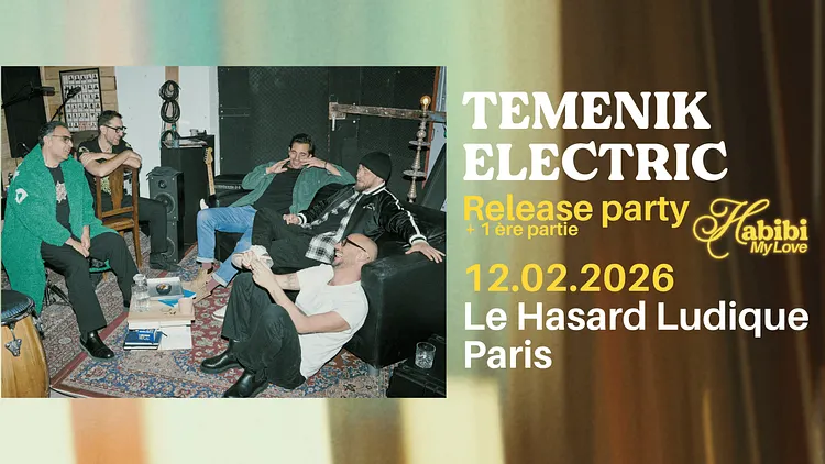 Temenik Electric en concert