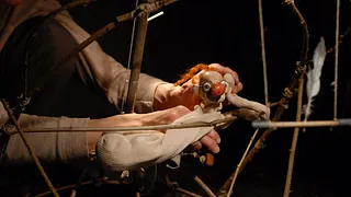 Piccoli sentimenti (Tof théâtre)