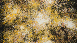 EXPOSITION PERSONNELLE PIERRE-LUC POUJOL