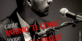 Récital de chant flamenco avec Antonio "El Genial"
