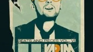 Dj Vadim Release Party