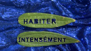 Habiter intensément (CHANTIER DES AUTEUR·ICES)