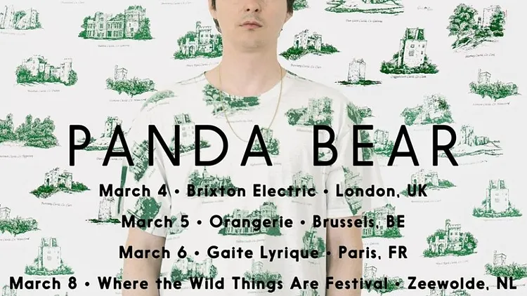 Panda Bear en concert